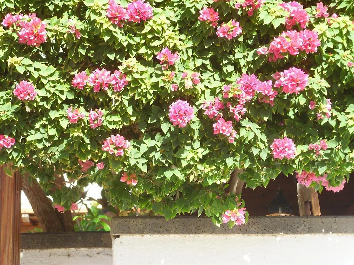 Apartamento Casa La Tahonilla Tías